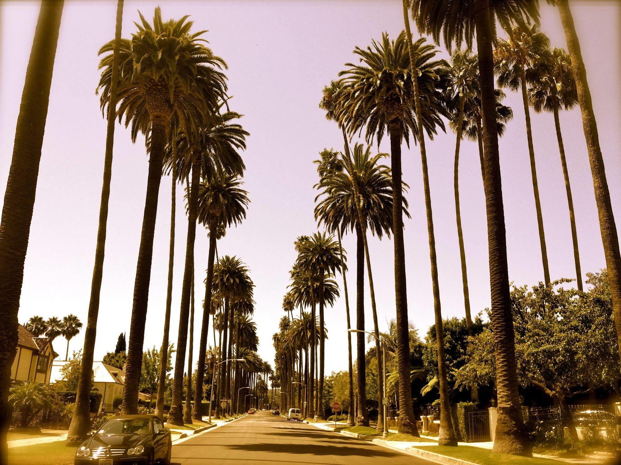 Century Park La (adults Only) 3* Los Angeles